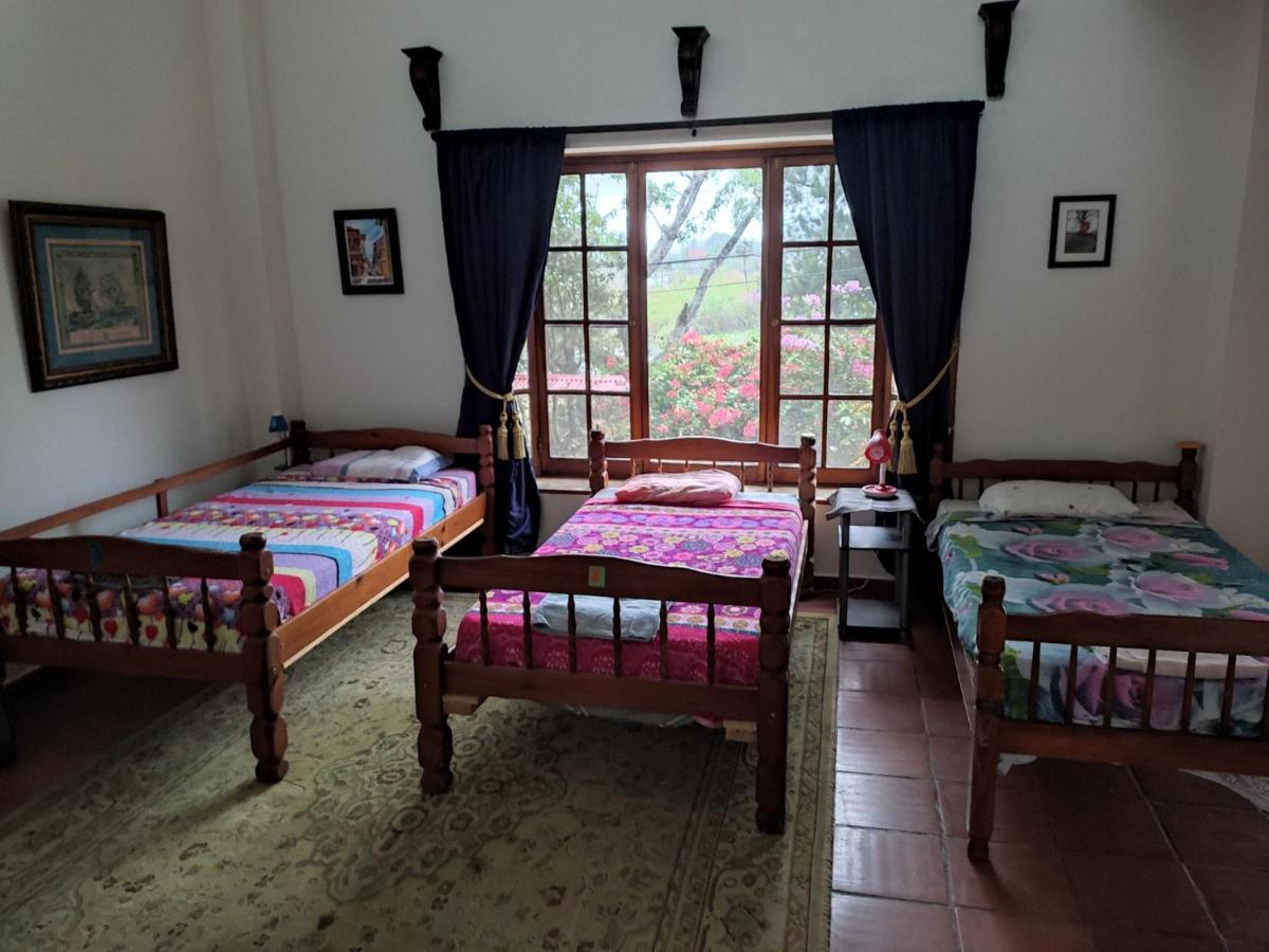 La Jungla Experience Lodgings - Vacation Home And Apartment Бокете Екстер'єр фото